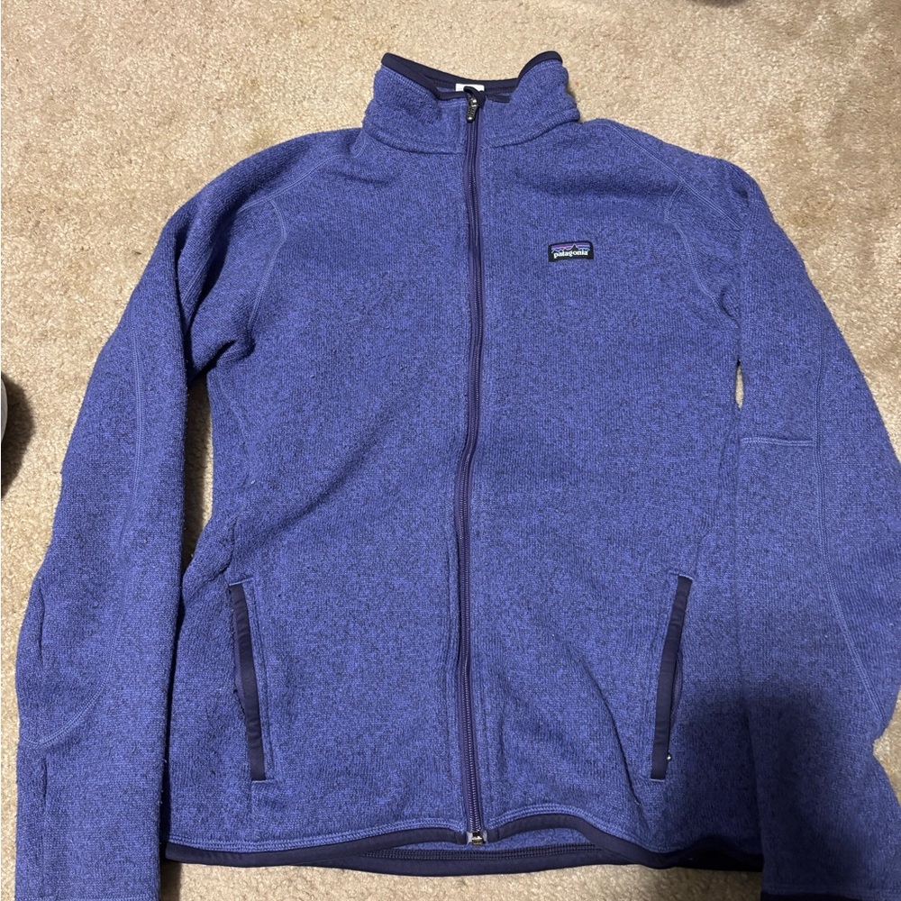 Patagonia Blue Full-Zip Fleece Jacket